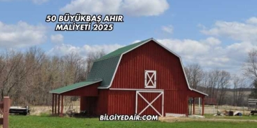 50 Büyükbaş Ahır Maliyeti 2025