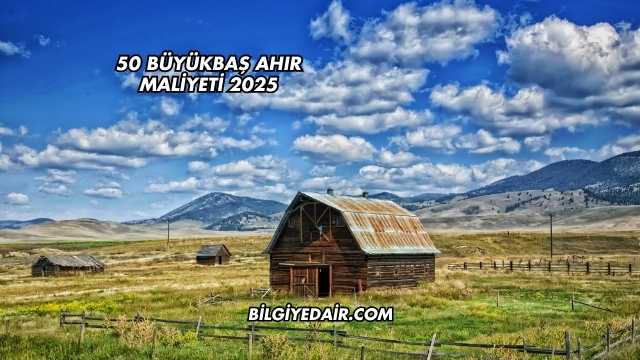 50 Büyükbaş Ahır Maliyeti 2025
