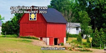 50 Büyükbaş Hayvan Çiftliği Maliyeti 2025