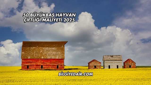 50 Büyükbaş Hayvan Çiftliği Maliyeti 2025