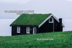 50 Metrekare Ev Maliyeti 2025