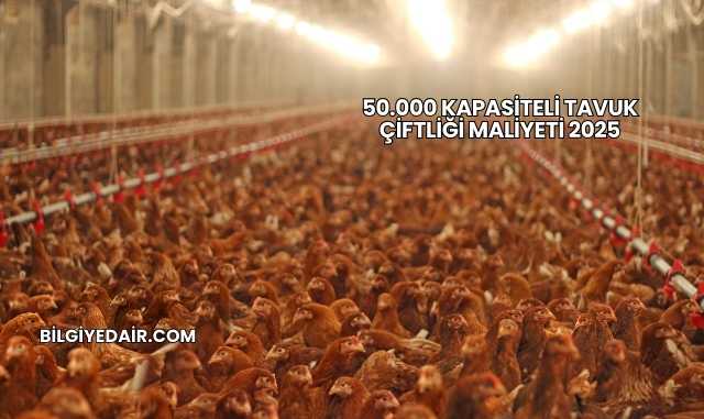 50.000 Kapasiteli Tavuk Çiftliği Maliyeti 2025