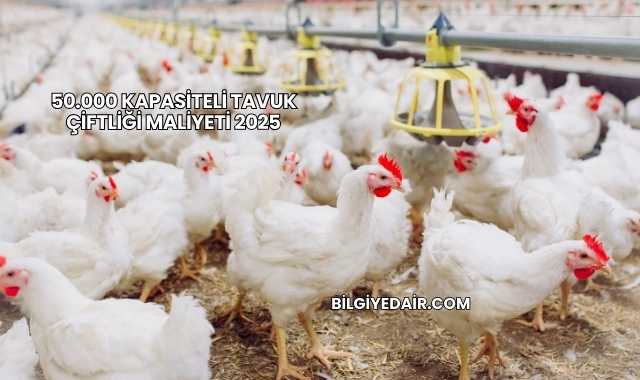 50.000 Kapasiteli Tavuk Çiftliği Maliyeti 2025