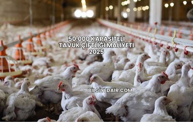 50.000 Kapasiteli Tavuk Çiftliği Maliyeti 2025