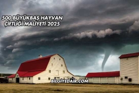 500 Büyükbaş Hayvan Çiftliği Maliyeti 2025