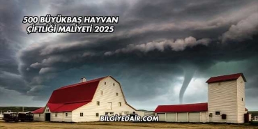 500 Büyükbaş Hayvan Çiftliği Maliyeti 2025