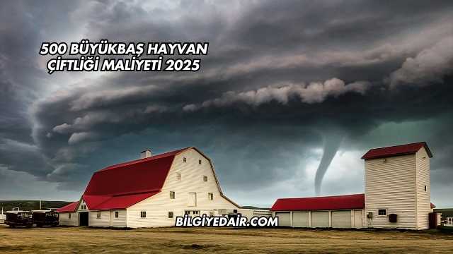 500 Büyükbaş Hayvan Çiftliği Maliyeti 2025