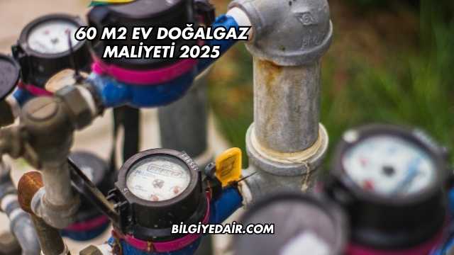 60 m2 Ev Doğalgaz Maliyeti 2025