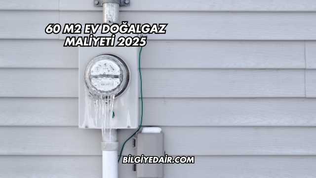 60 m2 Ev Doğalgaz Maliyeti 2025
