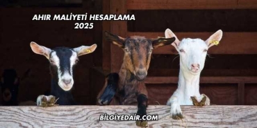 Ahır Maliyeti Hesaplama 2025