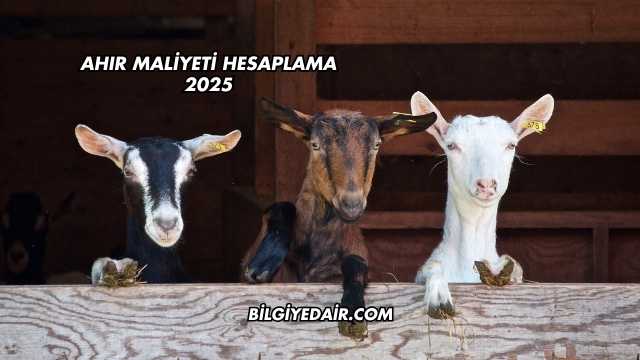 Ahır Maliyeti Hesaplama 2025