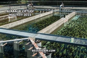 Alabalık Çiftliği Maliyeti 2025