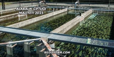 Alabalık Çiftliği Maliyeti 2025