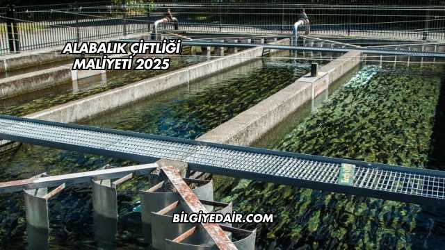 Alabalık Çiftliği Maliyeti 2025