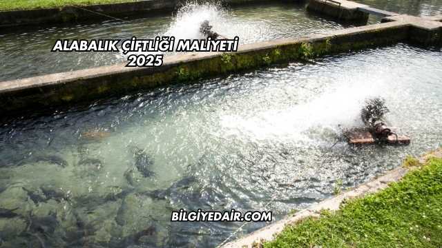 Alabalık Çiftliği Maliyeti 2025