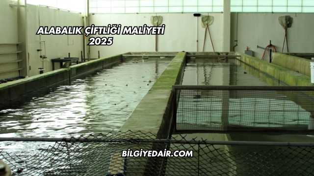 Alabalık Çiftliği Maliyeti 2025