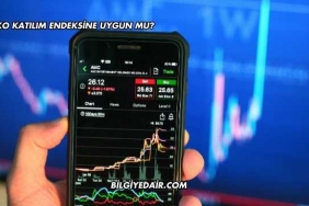 Alarko Katılım Endeksine Uygun mu?