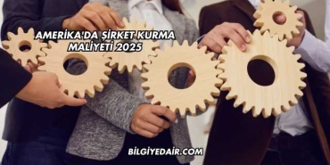 Amerika'da Şirket Kurma Maliyeti 2025