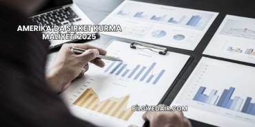Amerika’da Şirket Kurma Maliyeti 2025