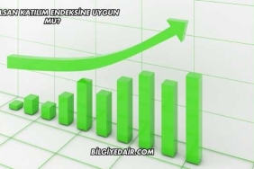 Aselsan Katılım Endeksine Uygun mu?