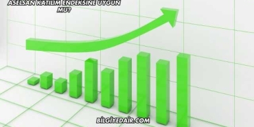 Aselsan Katılım Endeksine Uygun mu?