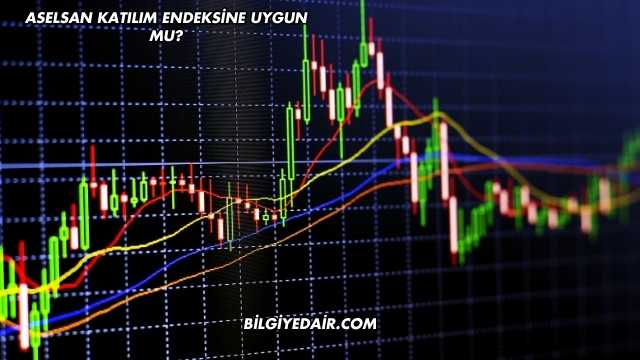 Aselsan Katılım Endeksine Uygun mu?