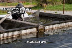 Balık Çiftliği Kurmak Maliyeti 2025