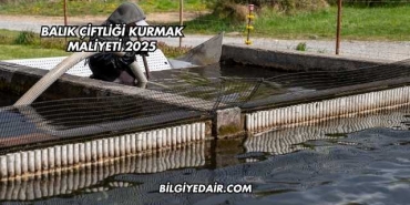 Balık Çiftliği Kurmak Maliyeti 2025