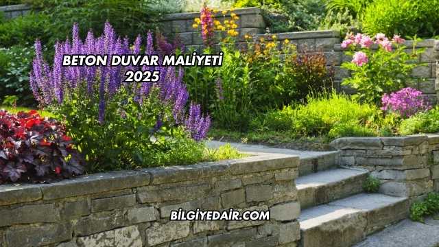 Beton Duvar Maliyeti 2025