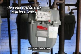 Bir Evin Doğalgaz Maliyeti 2025