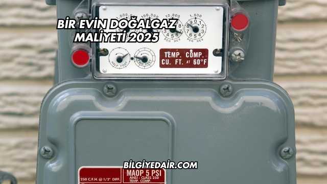 Bir Evin Doğalgaz Maliyeti 2025