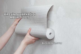 Bir Evin Duvar Kağıdı Maliyeti 2025
