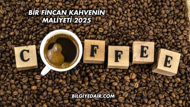 Bir Fincan Kahvenin Maliyeti 2025