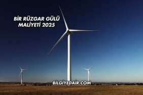 Bir Rüzgar Gülü Maliyeti 2025