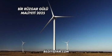 Bir Rüzgar Gülü Maliyeti 2025