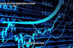 Bor Şeker Katılım Endeksine Uygun mu?