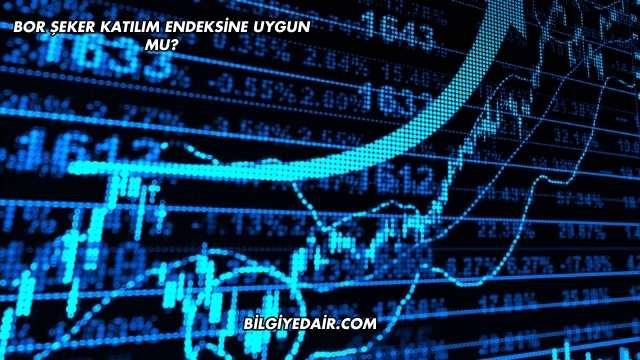 Bor Şeker Katılım Endeksine Uygun mu?