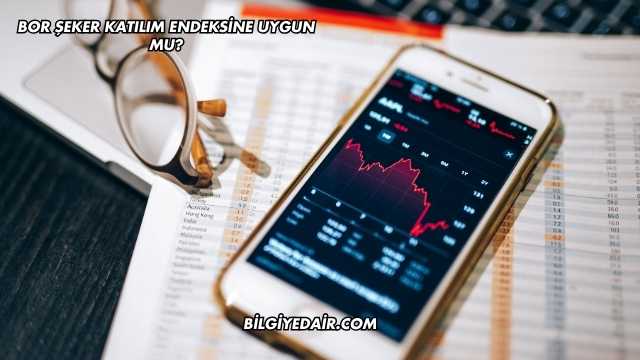Bor Şeker Katılım Endeksine Uygun mu?