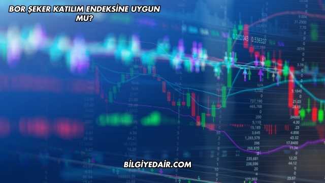 Bor Şeker Katılım Endeksine Uygun mu?
