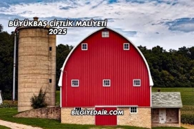 Büyükbaş Çiftlik Maliyeti 2025
