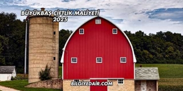Büyükbaş Çiftlik Maliyeti 2025