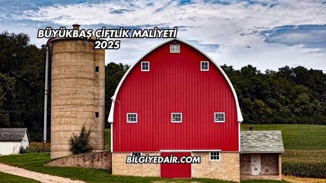 Büyükbaş Çiftlik Maliyeti 2025