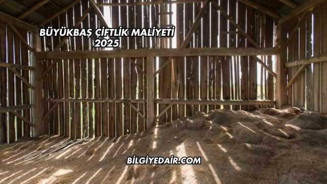 Büyükbaş Çiftlik Maliyeti 2025