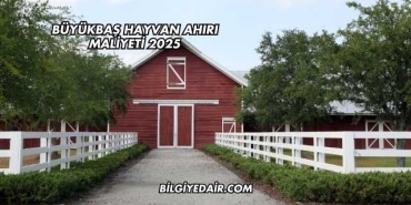 Büyükbaş Hayvan Ahırı Maliyeti 2025
