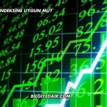 CATES Katılım Endeksine Uygun mu?
