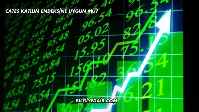CATES Katılım Endeksine Uygun mu?