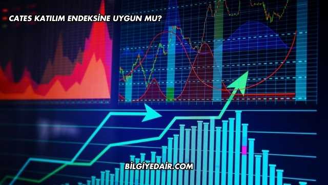 CATES Katılım Endeksine Uygun mu?