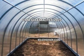 Cam Sera Maliyeti 2025