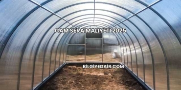 Cam Sera Maliyeti 2025