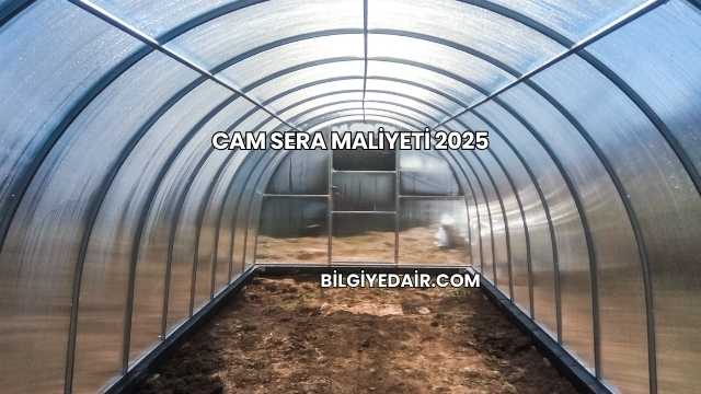 Cam Sera Maliyeti 2025